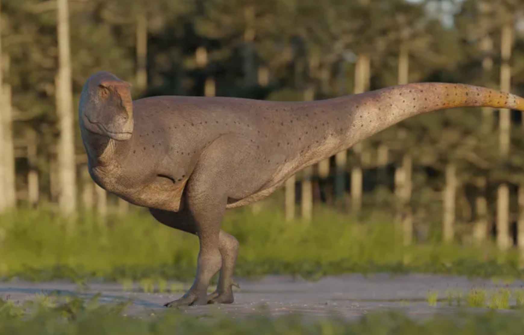 Descubren un nuevo dinosaurio con brazos más pequeños que los del ‘T. Rex’